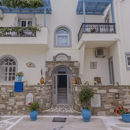 Guest house Sofi 3*
