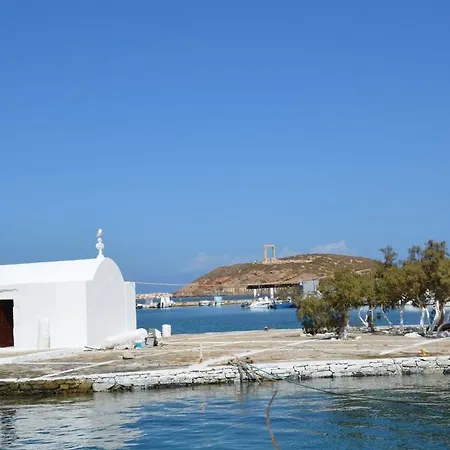 Guest house Sofi 3*