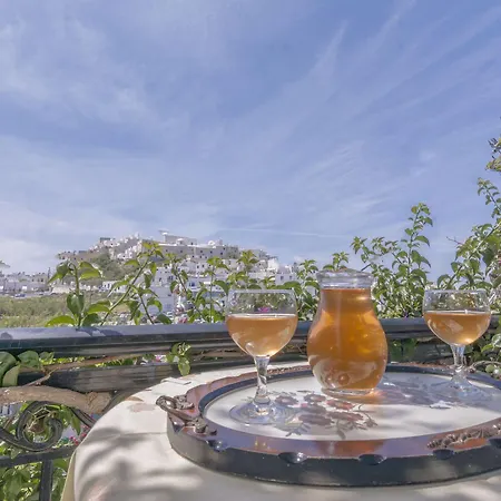 Sofi Naxos City